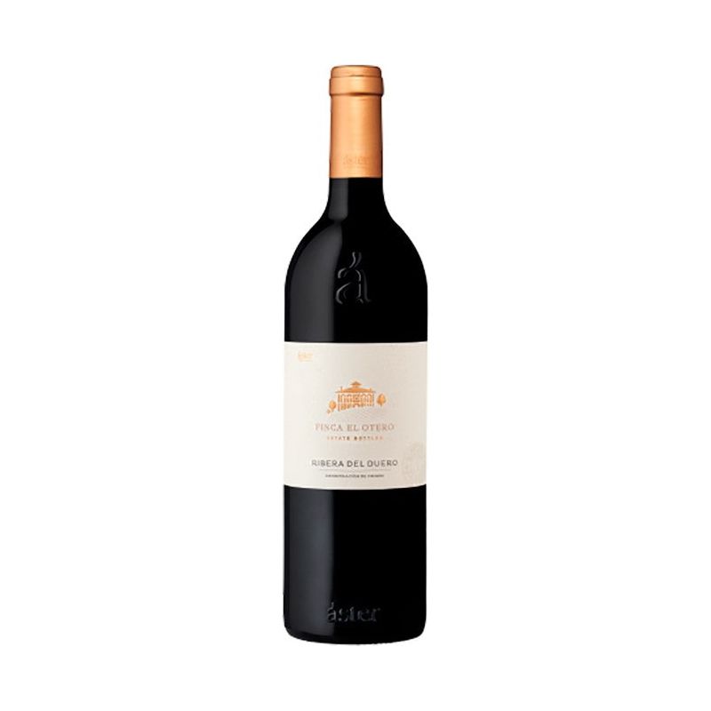 Magnum Áster Finca el Otero 2019 - En Copa de Balón